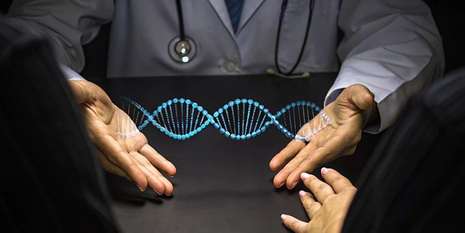 Medical professionals reviewing a regenerative medicine model